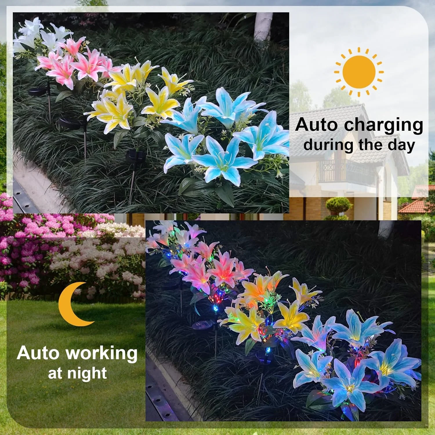 7 Head Orchid Flower Solar Lights Outdoor Waterproof Landscape Decor Lamp for Garden Yard Pathway Porch Lawn Backyard Decoration 3
