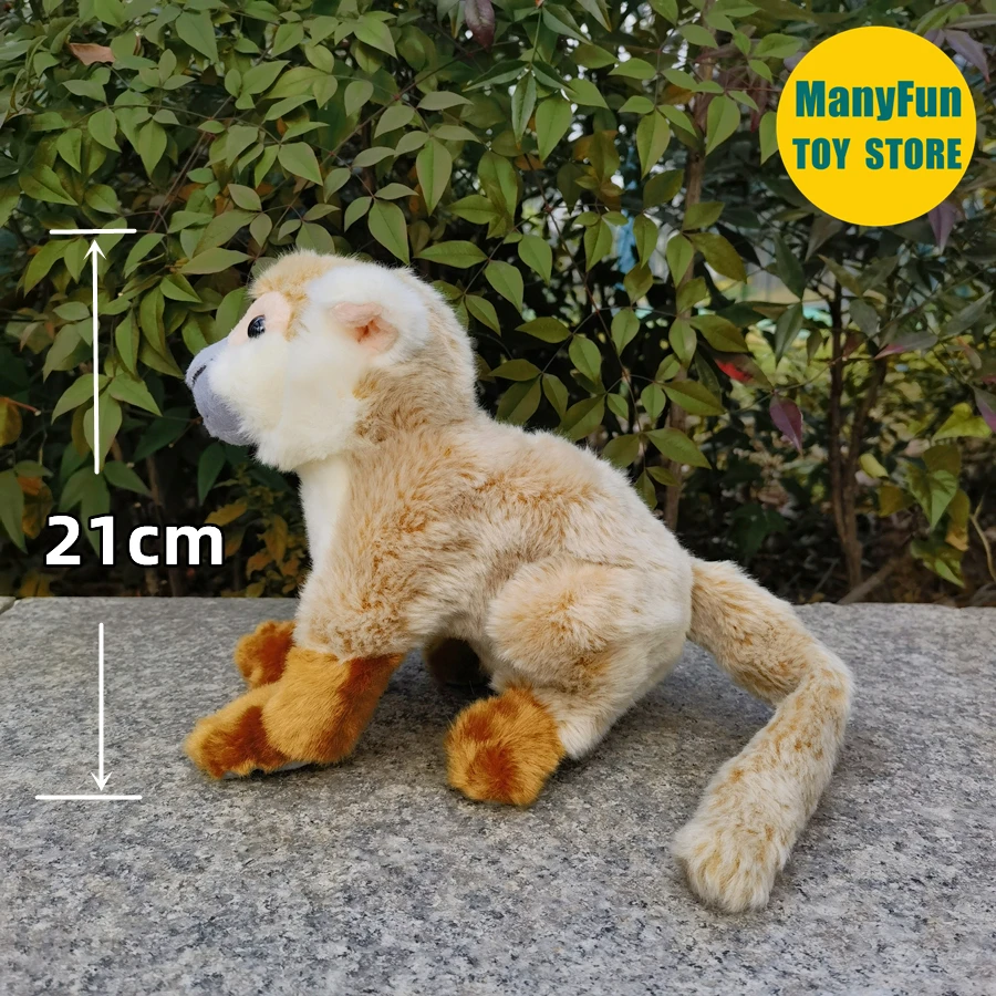 Squirrel Monkey Plush Toy High Fidelity Monkeys Plushie Saimiri Sciureus Peluche Lifelike Stuffed Animals Simulation Doll Toys 2