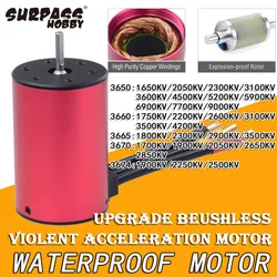 All - Terrain Waterproof Brushless Motor for RC Car Racing and Off - Road Excursions (3650 3600KV 3.175mm)