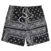 Men's Boho Drawstring Waist Shorts Paisley Print Summer Beach Shorts Fashion Shorts Men Plus Size Workout Gym Short Pants 3