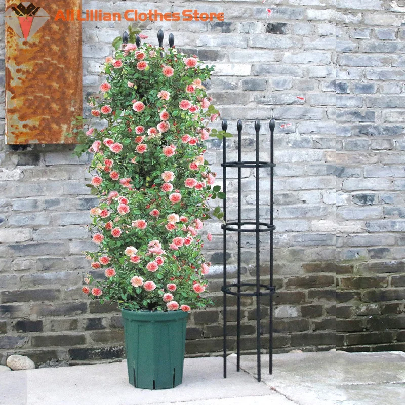 Tomato Plant Support Cages Set 5