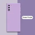 Grass Purple