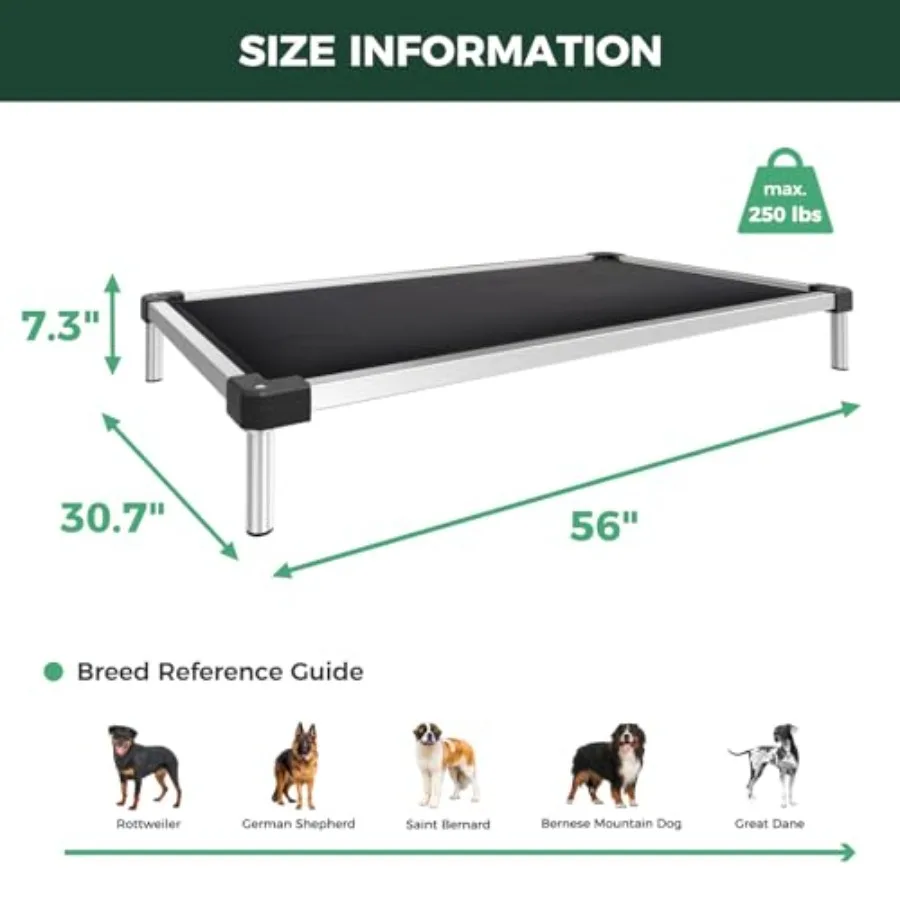 Chew-Proof Elevated Dog Bed 6
