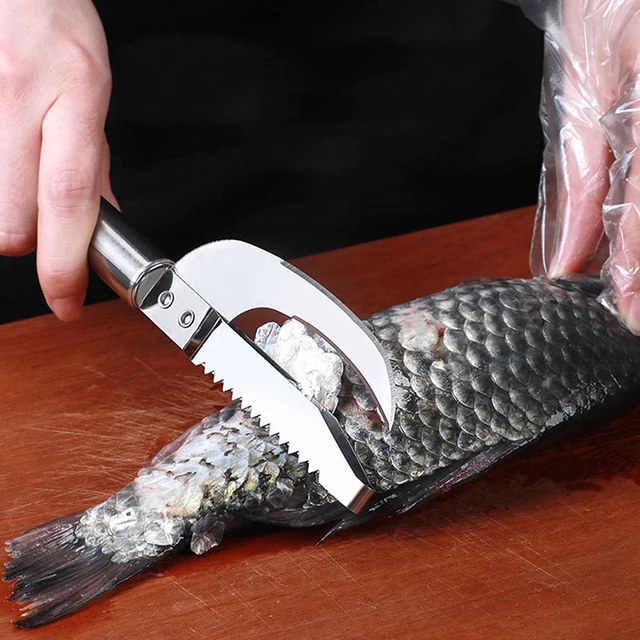 Stainless Steel Scale Planer Fish Scraper Fish Multi-Function