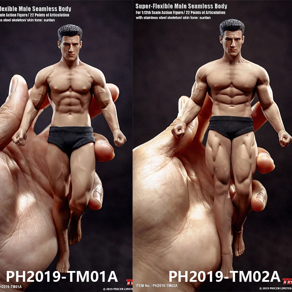 

TBLeague PH2019-TM01A TM02A 1/12 Scale Male Suntan Seamless Body with Head Sculpt 6-inch Man Super Flexible Action Figure Model