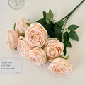 Champagne Pink