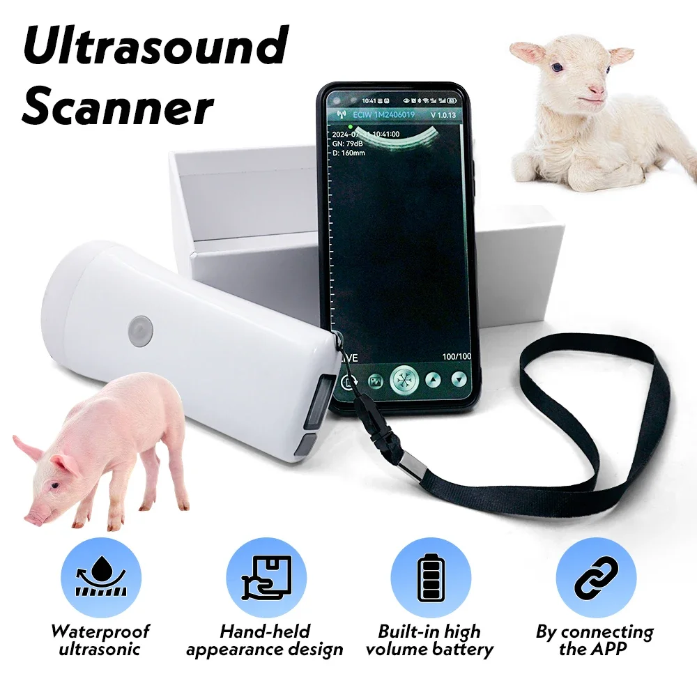 Wireless Veterinary Ultrasound Scanner Handheld Ultrasound Machine Wireless Colo