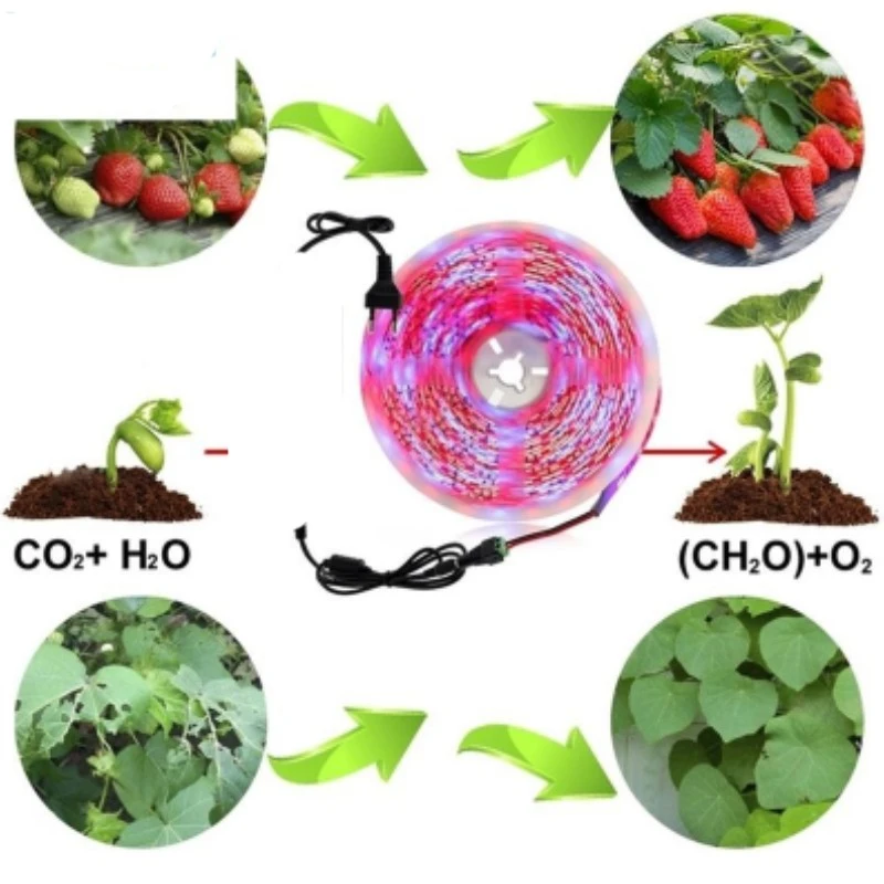 12V Led Plant Grow Light Full Spectrum Phyto Lamp 1m 2m 3m 5M Strip For Seeds Flower Greenhouse Tent Hydroponic Plants Lighting led grow light grow light