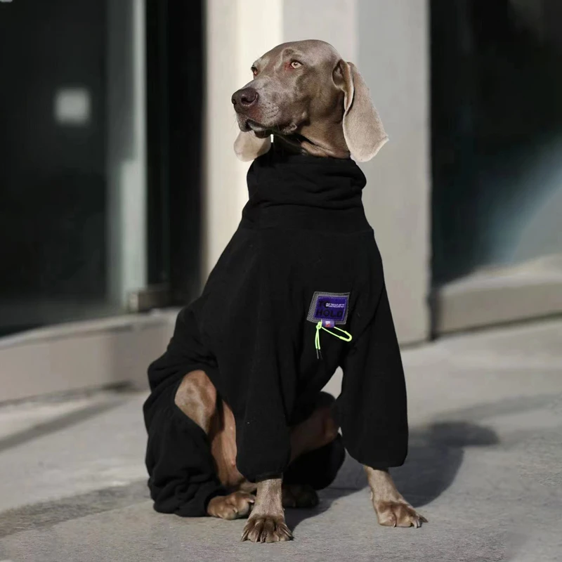 Magistrado temerario valor Ropa para perros pequeños y grandes, suéter acolchado de terciopelo para  perros, disfraz de Labrador Doberman, accesorios para perros, chaqueta para  perros| | - AliExpress