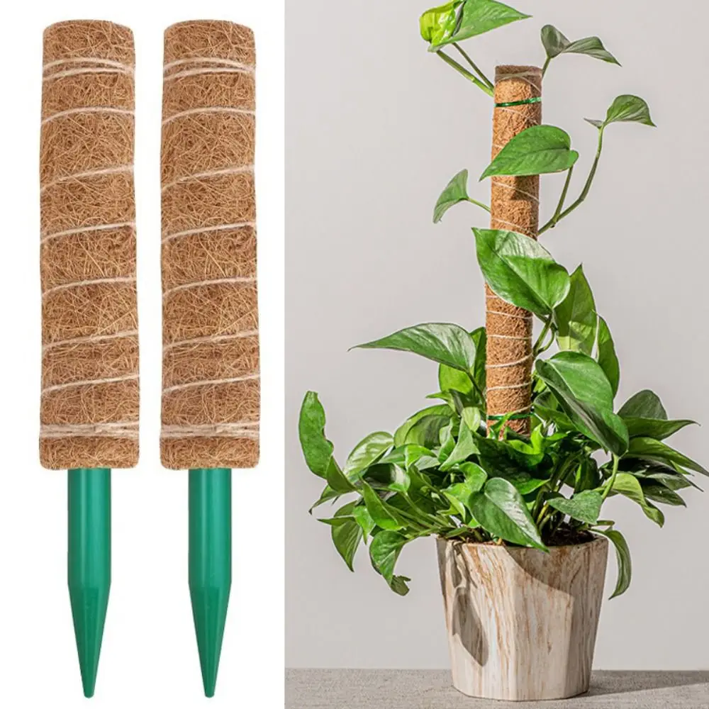 Garden Plant Support Detachable Moss Pole Plants Climbing Extension Palm Vines Stick