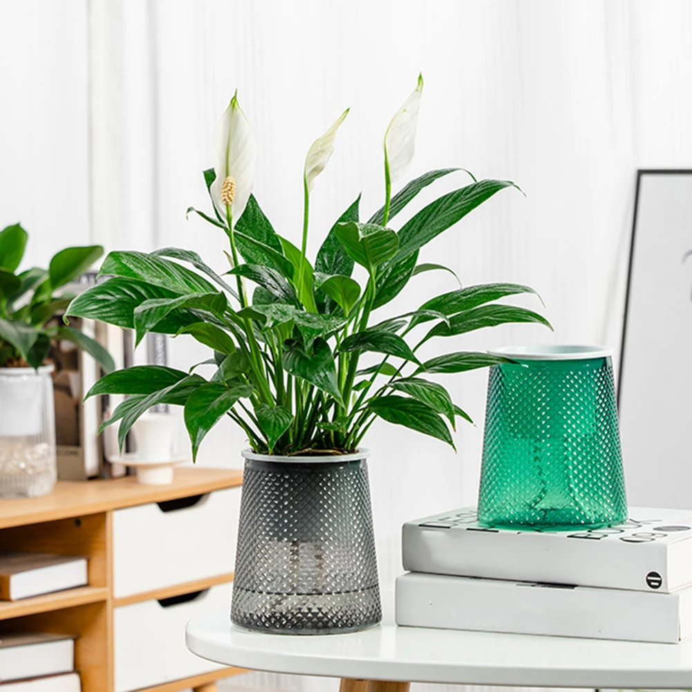 

Automatic Water Absorbing Lazy Basin Transparent Hydroponic Flower Pot DIY Plastic Flower Holder Flowerpot Table Decoration