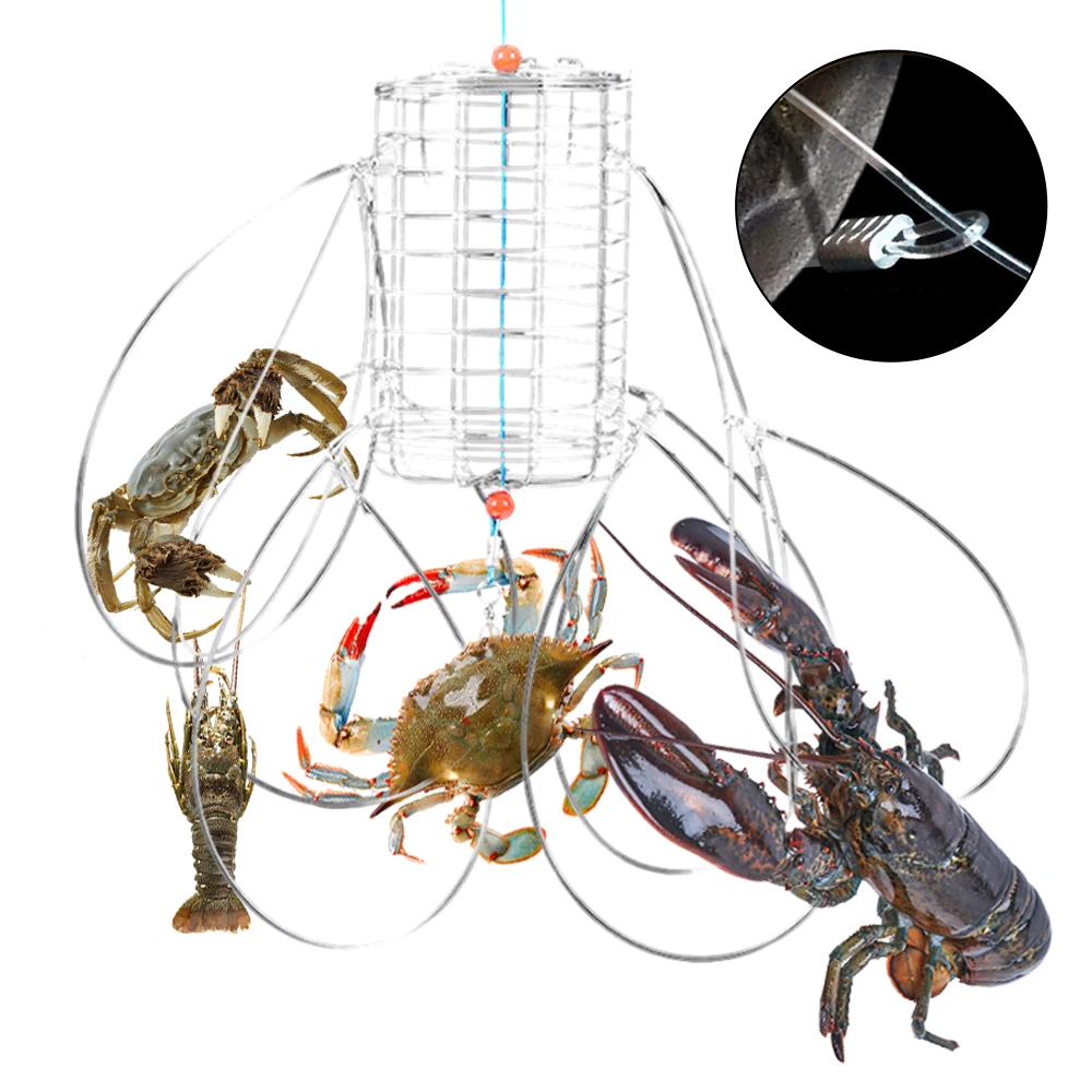 https://ae01.alicdn.com/kf/S946aef3b06de4b648400442afc092e69p/1pc-Crab-Trap-Steel-Wire-Bait-Cage-Catching-Tool-Lure-Trap-Crab-Lobster-Shrimp-Crayfish-Catcher.jpg