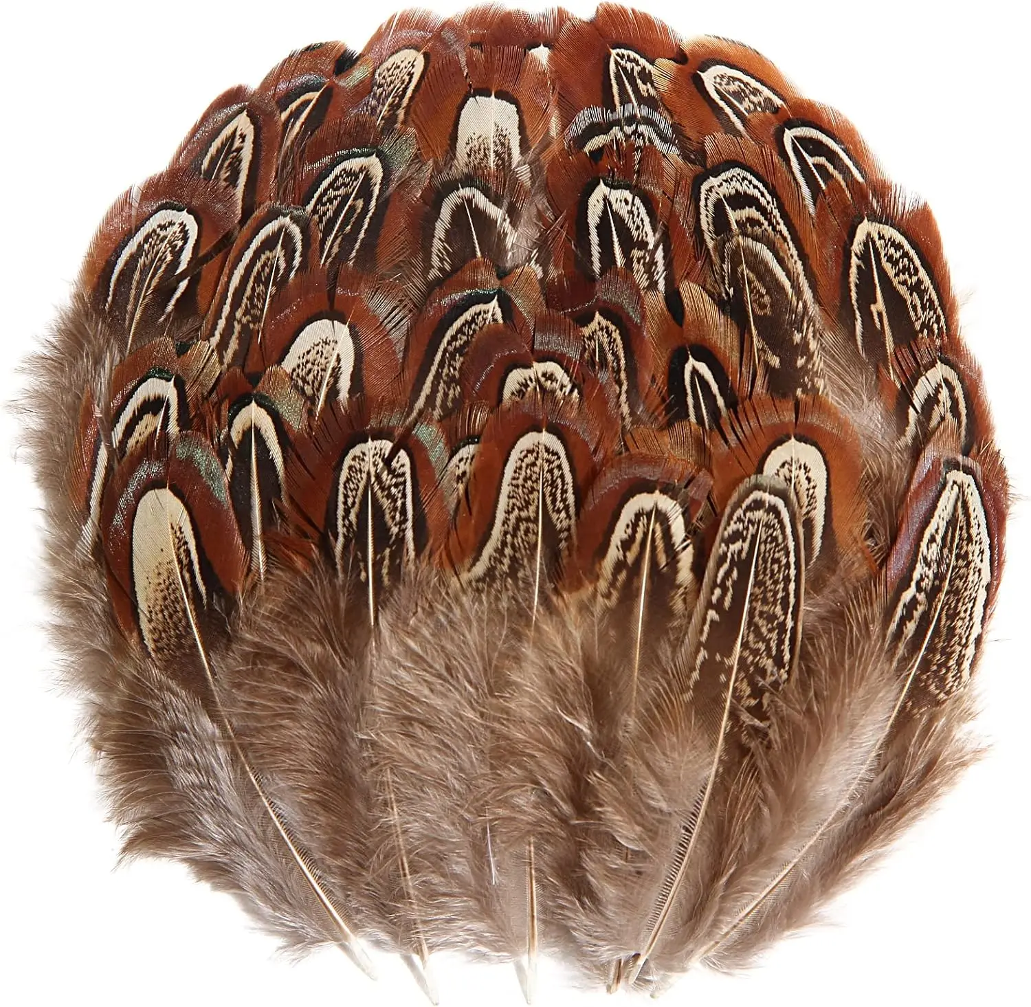 

Natural Pheasant Feathers 100pcs 2-3 Inch Thanksgiving Crafts Hats Sewing Clothing Wedding Dream Catcher Decoration Feather