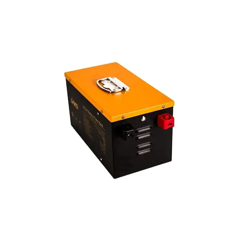 12V100AH lithium battery - SAKO