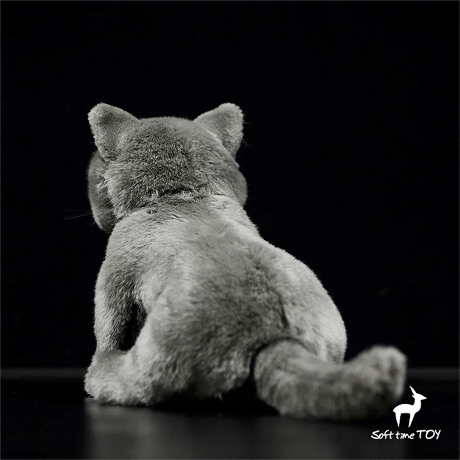 British Shorthair Blue Cat Plush Toy High Fidelity Cats Plushie Felinae Peluche Lifelike Simulation Stuffed Animals Doll Kids 5