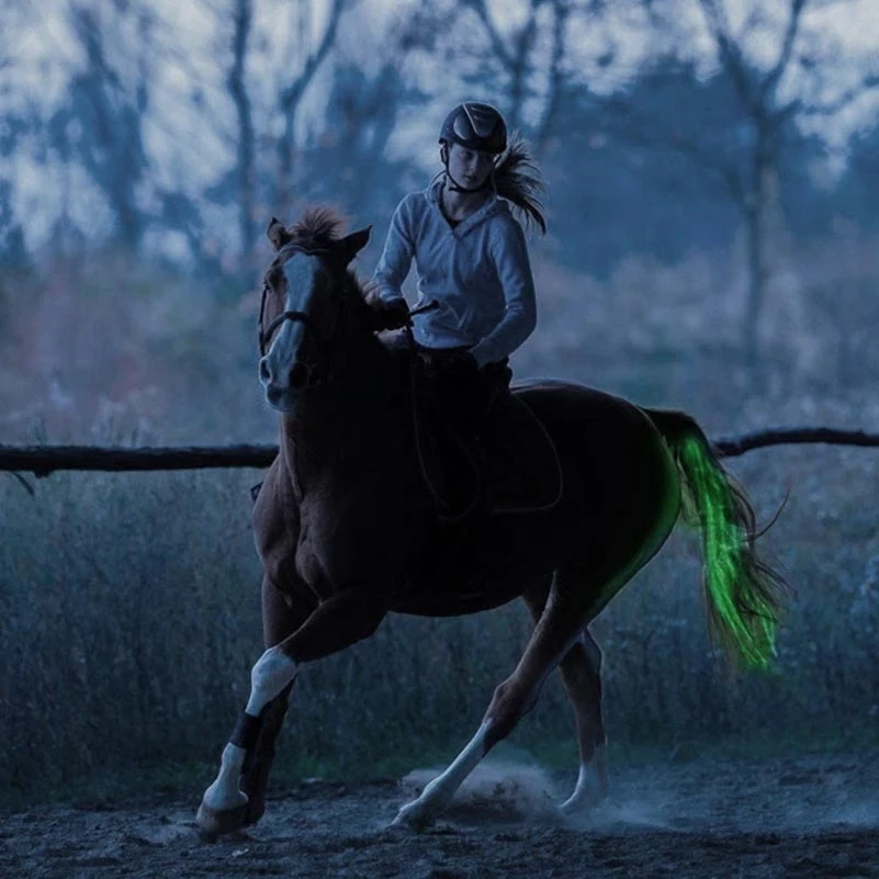 LED Horse Riding Tails Decoration Luminous Tubes Horses Riding Decorations Night Visible Flashing Light Bar Harness horse riding equipment 100CM