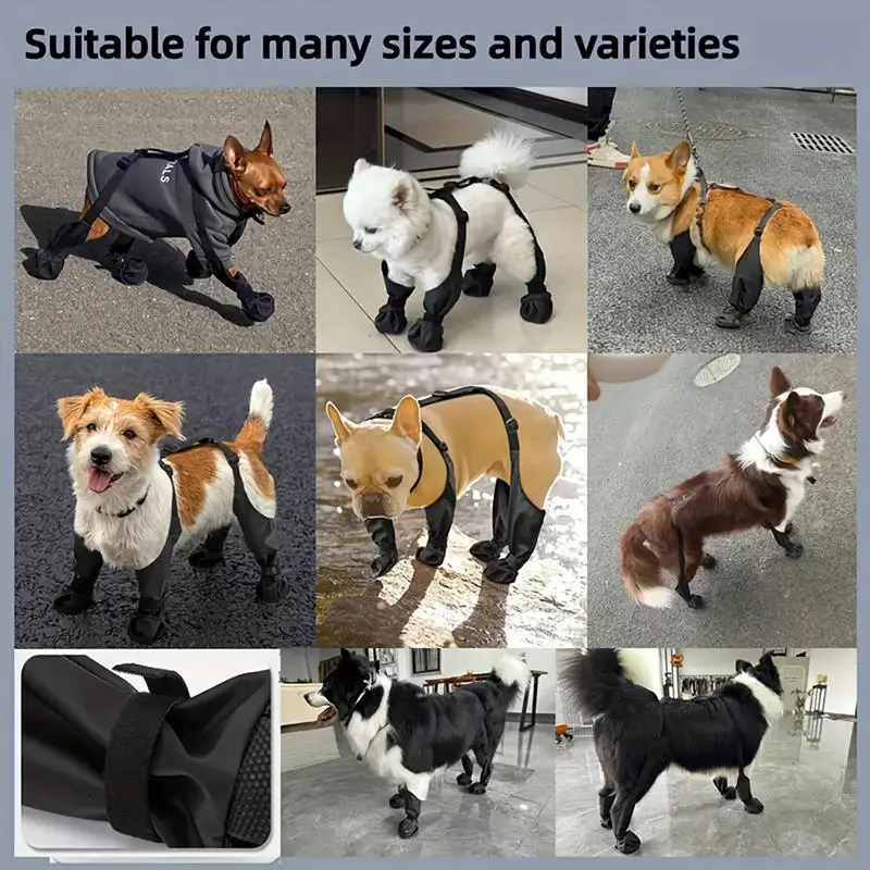 Bottes imperméables chien