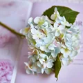 Light blue d