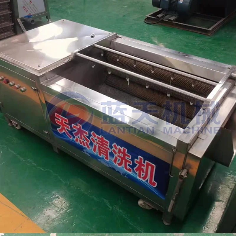 Best Selling Carrot Red Radish Potato Ginger Washing Peeling Machine Fruit And Vegetable Washer Wash Garlic Cleaning Machine 5