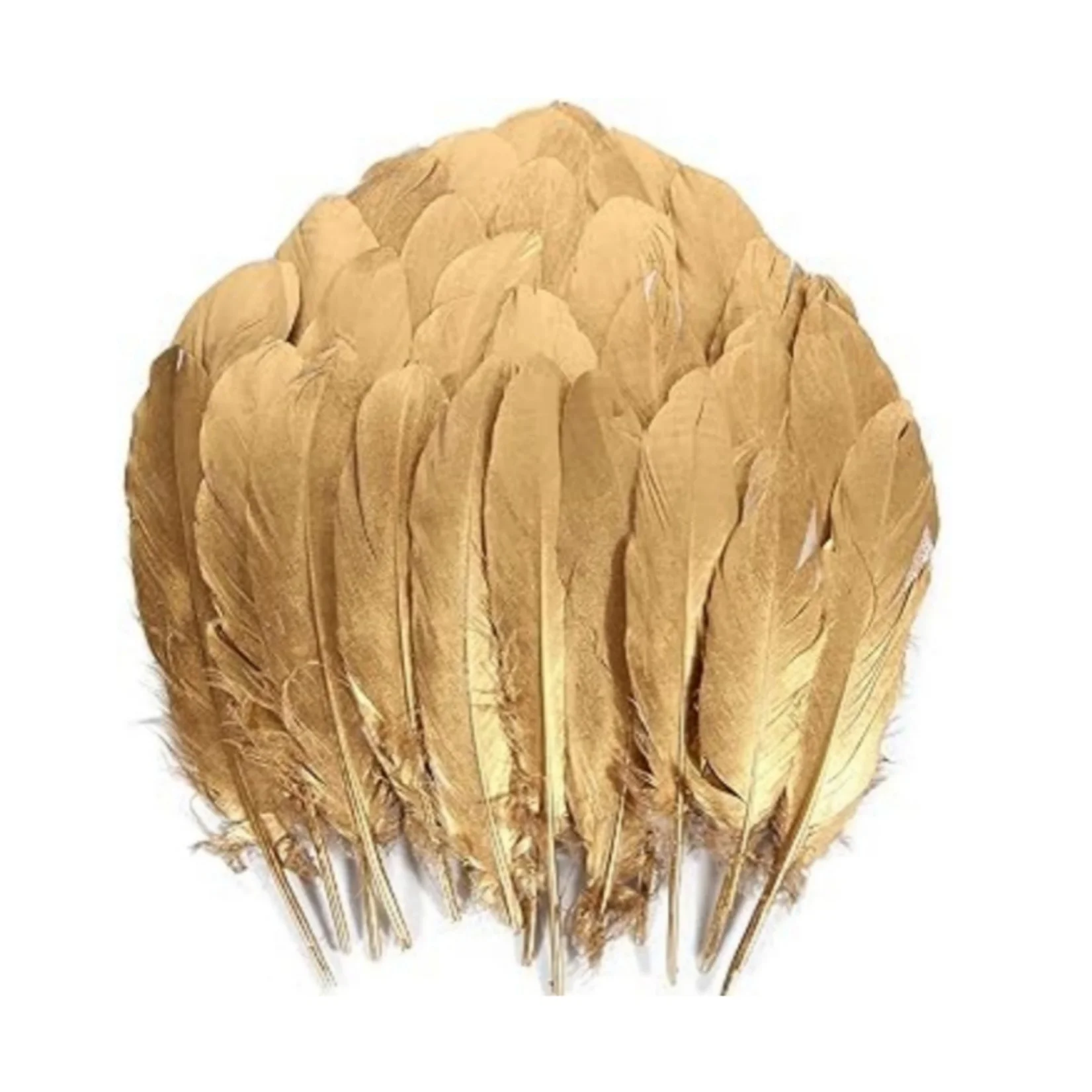 10pcs Gold Goose Feathers Bulk 6-8 inch 15-20cm Crafts DIY Cosplay Wedding  Party Halloween Decoration Goose Feathers - AliExpress