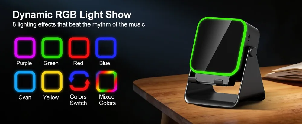 induction speaker