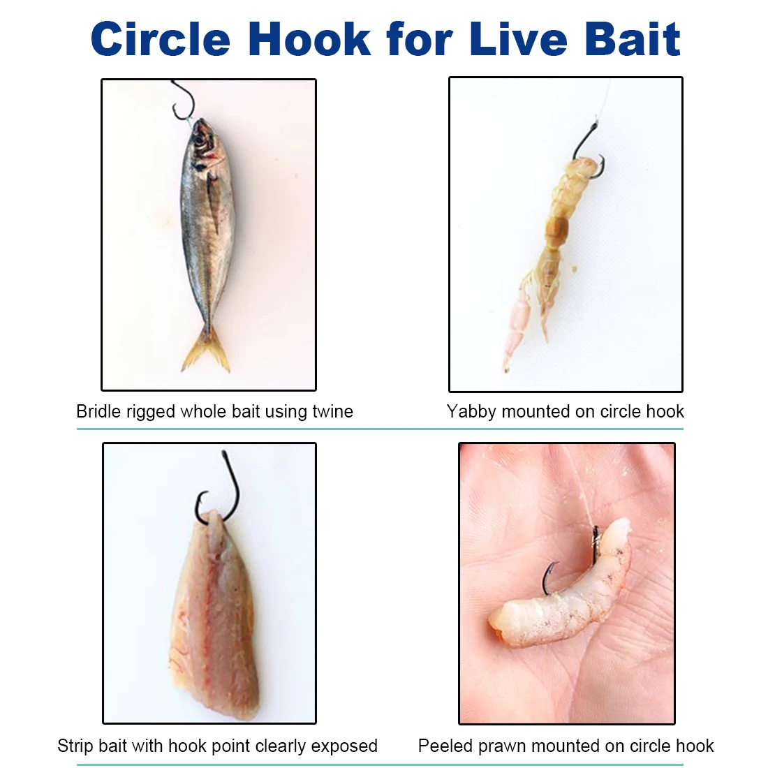 FishTrip Circle Hooks 3X Strong Saltwater Fishing Hook Live Bait