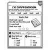Phonic CVC cvc words montessory 240 page practice sheets kid  worksheets for kids printable learning toy 3