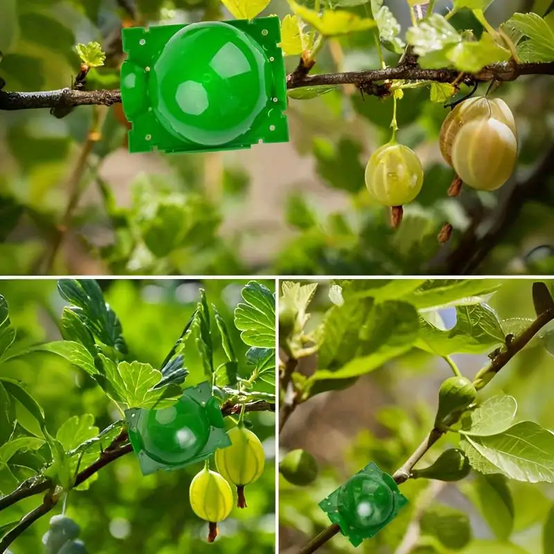 5/10Pcs Plant Rooting Ball Plants Accessories Garden Grafting Box Sapling Propagation Breeding Rooting Grafting pot