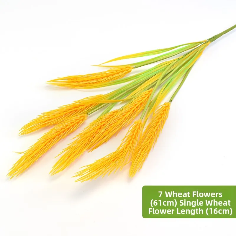 7 heads of barley ears