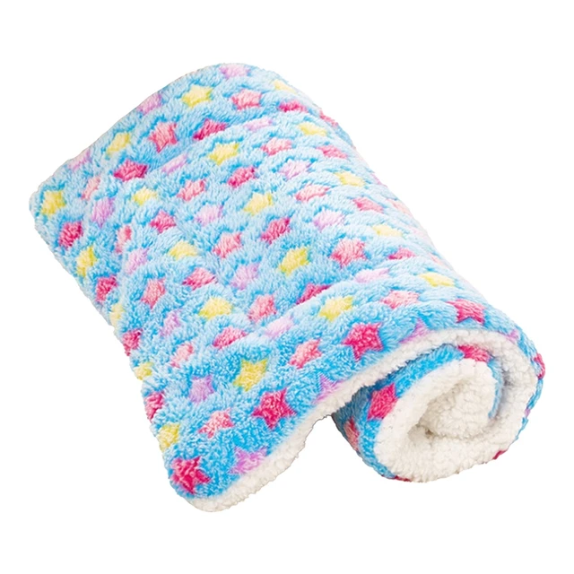PET10877BL