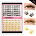 Lash-CF01