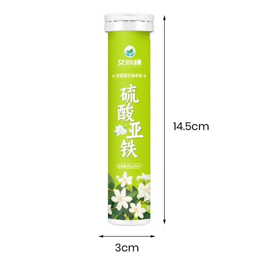 

Gardening Nutrient-rich Fertilizer Universal Slow Release Nutrient Tablets for Plants Flowers Vegetables 22pcs for Greenery