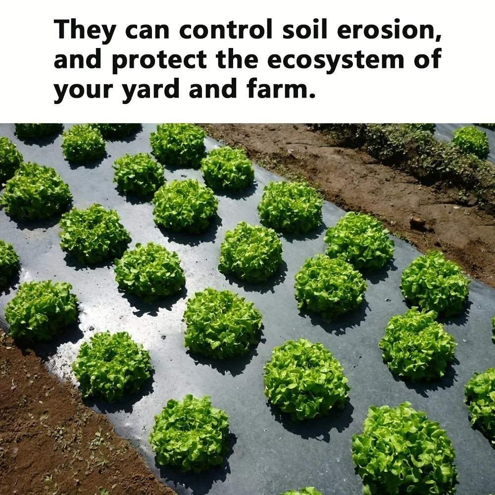 Black Plastic Mulch Film Grow Your Vegetables with Black Plastic MulchFilm for Greenhouses and Plant Protection black plastic mulch film