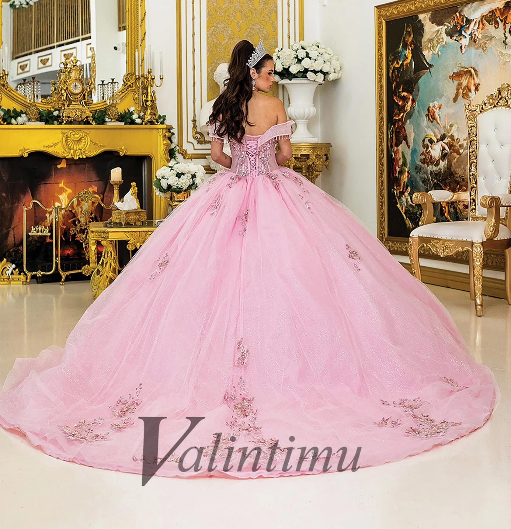 Quinceanera Dress Ball Gown for Girl Customized