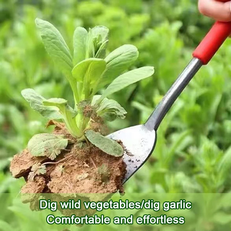 New Garlic Digging Shovel Agricultural Stainless Steel Flower Shovel Gardening Weeding Dig Wild Herbs 3-Point Shovel Garden Tool 4