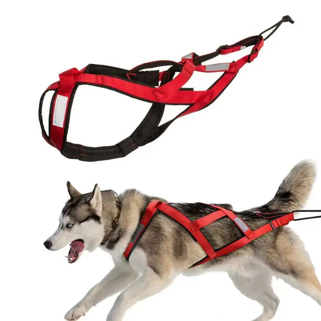 Dog Outdoor Sled Chest Strap Dog Weight Training Traction Strap Husky Samo Snowboard Traction Rope 3