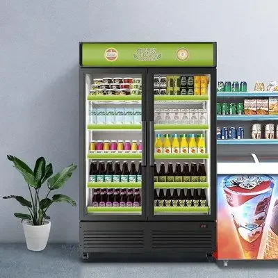 Drink Vertical 2 Door Commercial Refrigerator Display Cooler Freezers Commercial Display Cooler