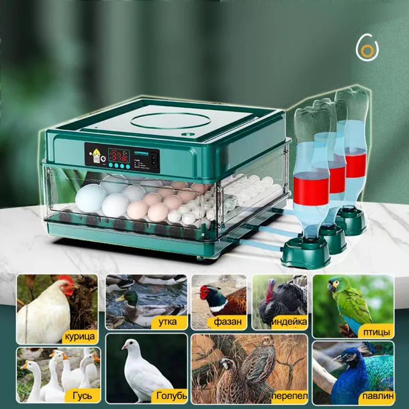 

30/64 Eggs Incubator with Temperature Control Dual Power for Hatching Ducks Chicken Ionic Waterbed Automatic Water Replenishment