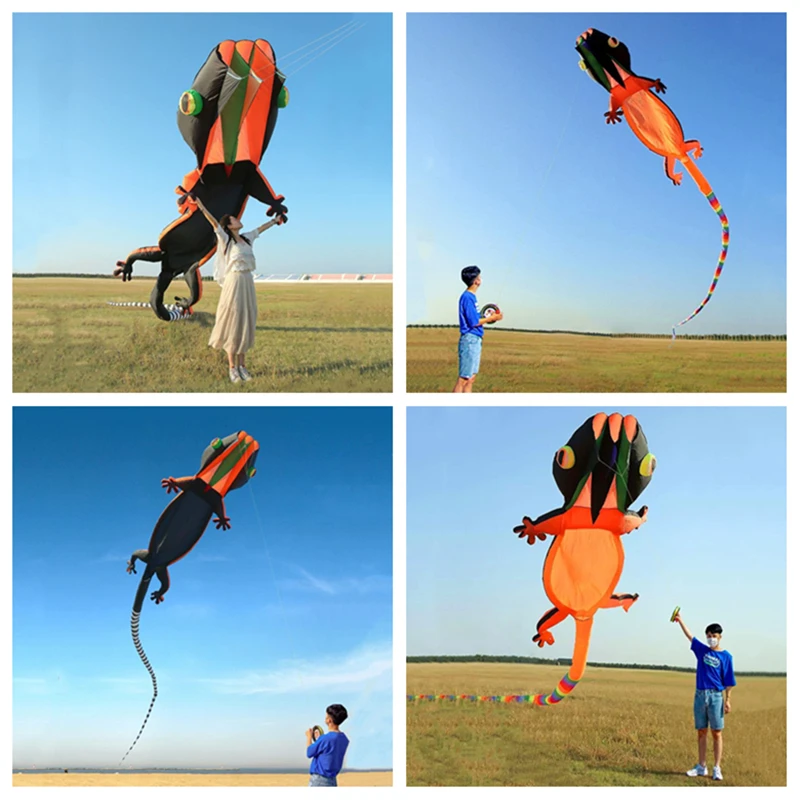 Free Shipping big kites flying gecko kites wing soft kites parachute kites professional kites reel sports kites eagle nylon kite free shipping big kites flying gecko kites wing soft kites parachute kites professional kites reel sports kites eagle nylon kite