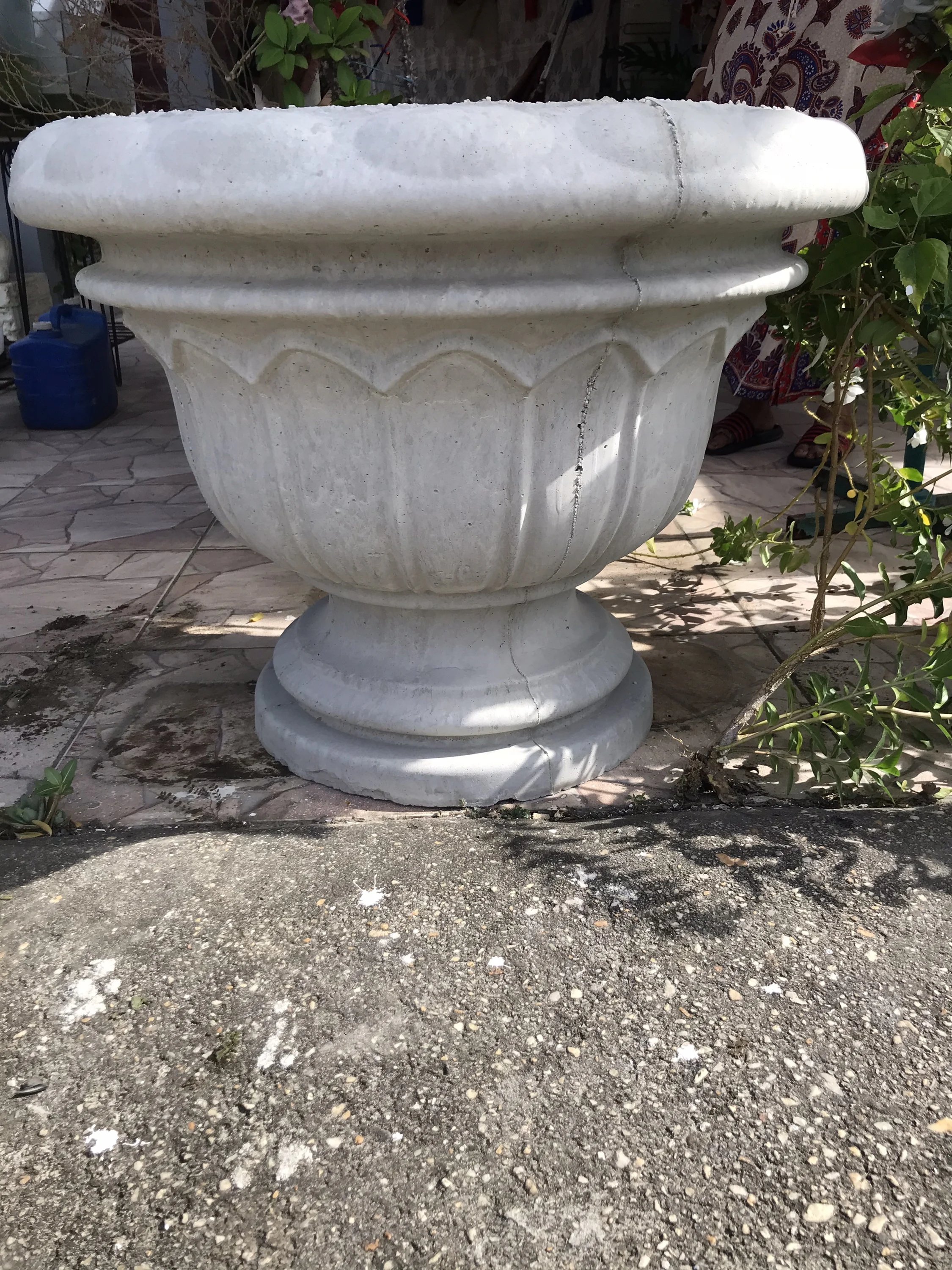 Decorative Concrete Planters
