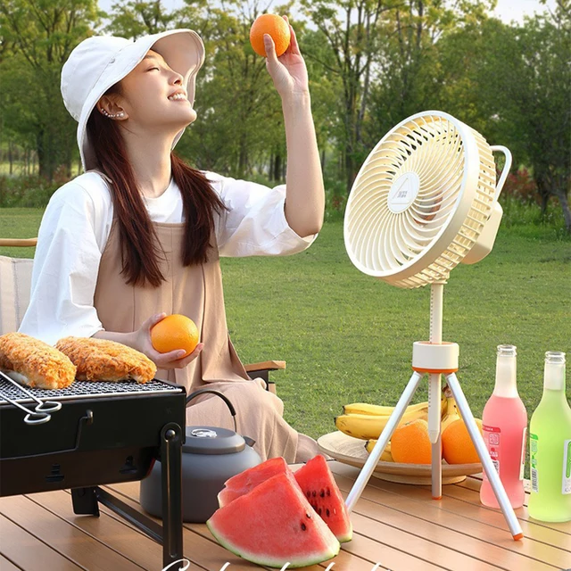 삼각대선풍기