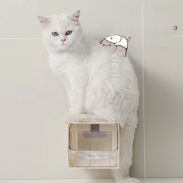 Pet cat canned food storage box cat strips dried meat sorting box wall mounted cat supplies large capacity storage box 3