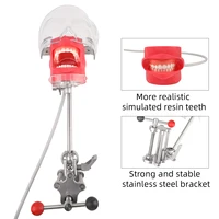 Tête fantôme dentaire avec dents pour l'enseignement et la formation des dentistes, modèle de mannequin dentaire, simulateur dentaire 3