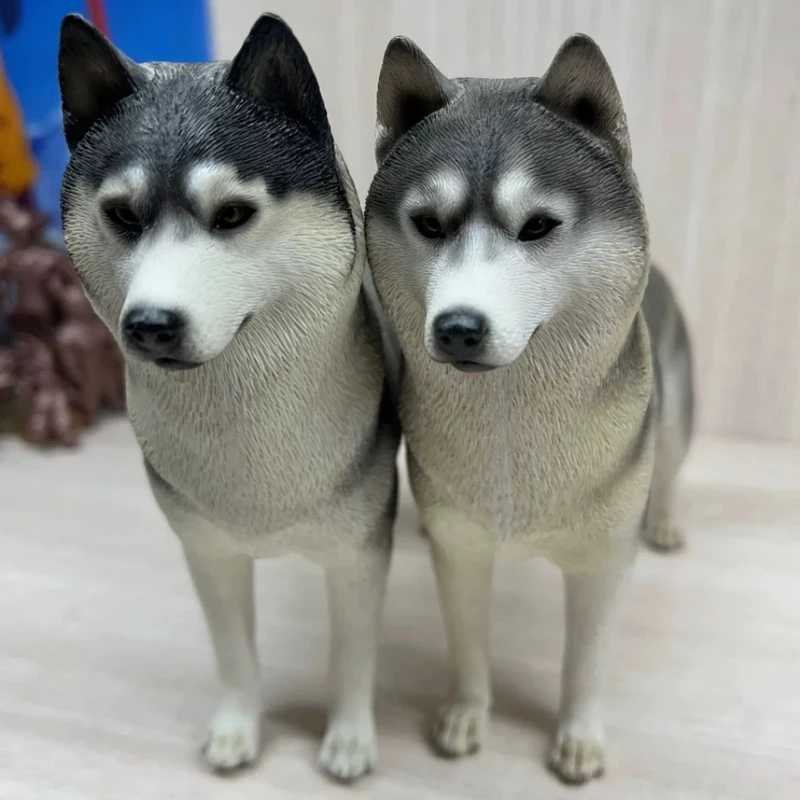 

1/6 Scale Mr.Z Siberian Husky Simulation Animal Model Toy, Used For Scene Decoration, Movable Character Model Accessories