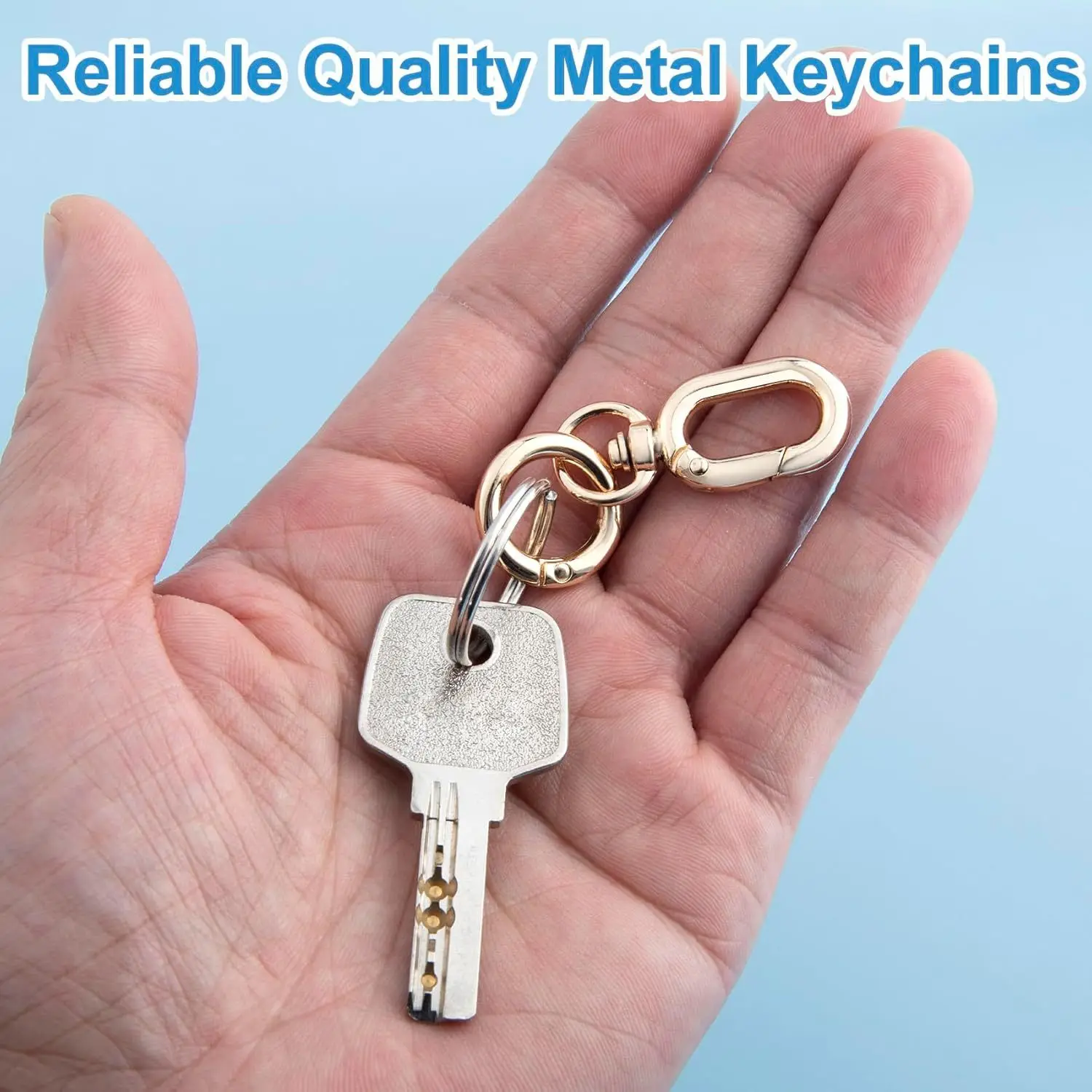 Double Opening Swivel Clasp Clips Metal Swivel Spring Snap Hooks Key Chain Clip Key Ring for DIY Keys 2pcs