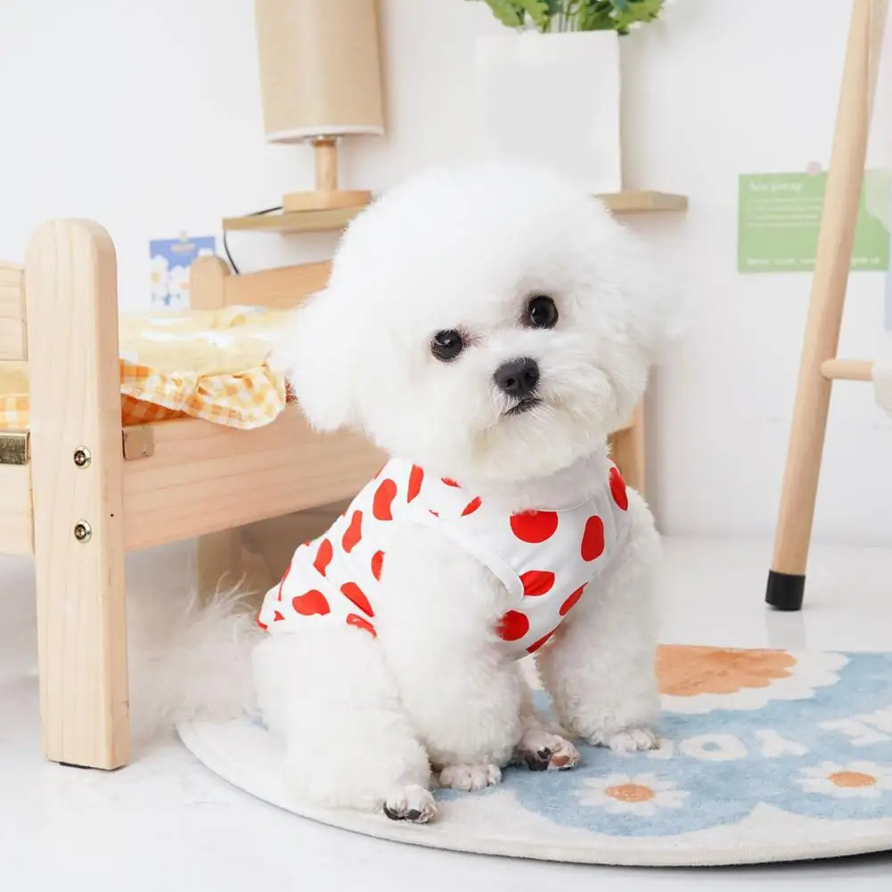 세련된 반려동물 티셔츠 코튼 반려동물 옷, 절묘한 헤밍 드레스 업, 귀여운 반려동물 고양이 강아지 티셔츠, 여름 옷