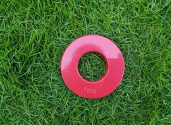 Premium Mini Fractional Weight Plates (1pc red 1KG)