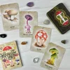 10.4*7.3cm Mushroom Spirit Oracle Cards 36 Pcs Hand-drawn Images of Mushrooms From All Over The World 2