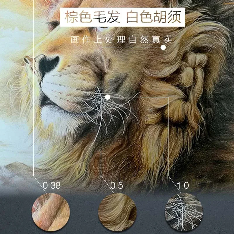 Cross Nature White Scratch Pen Water-Soluble Color Lead Whitening Indenter Blank Sketch Hair Treatment Tool Anime Pens