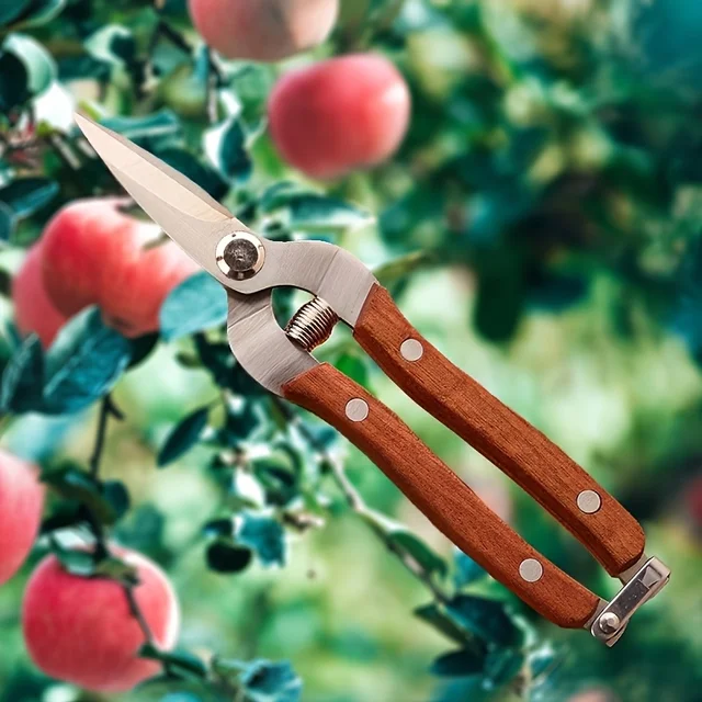 Pruning shears full set of gardening shears garden elbow garden scissors picking fruit shears spring manual tool scissors 4